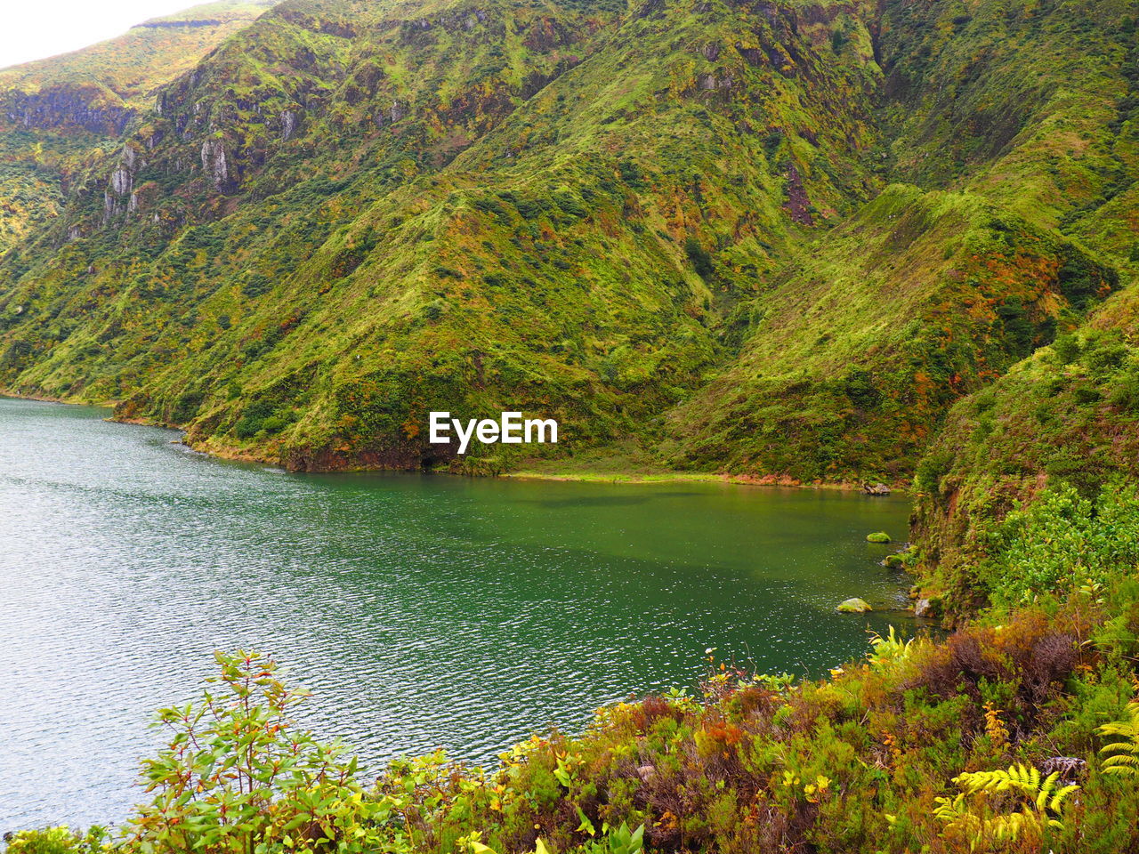 Scenic view of lake by trees during autumn