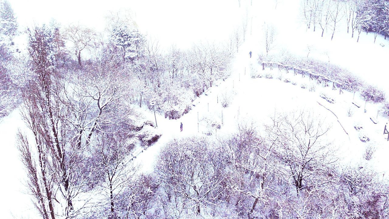 High angle view of snow covered landscape with bare trees