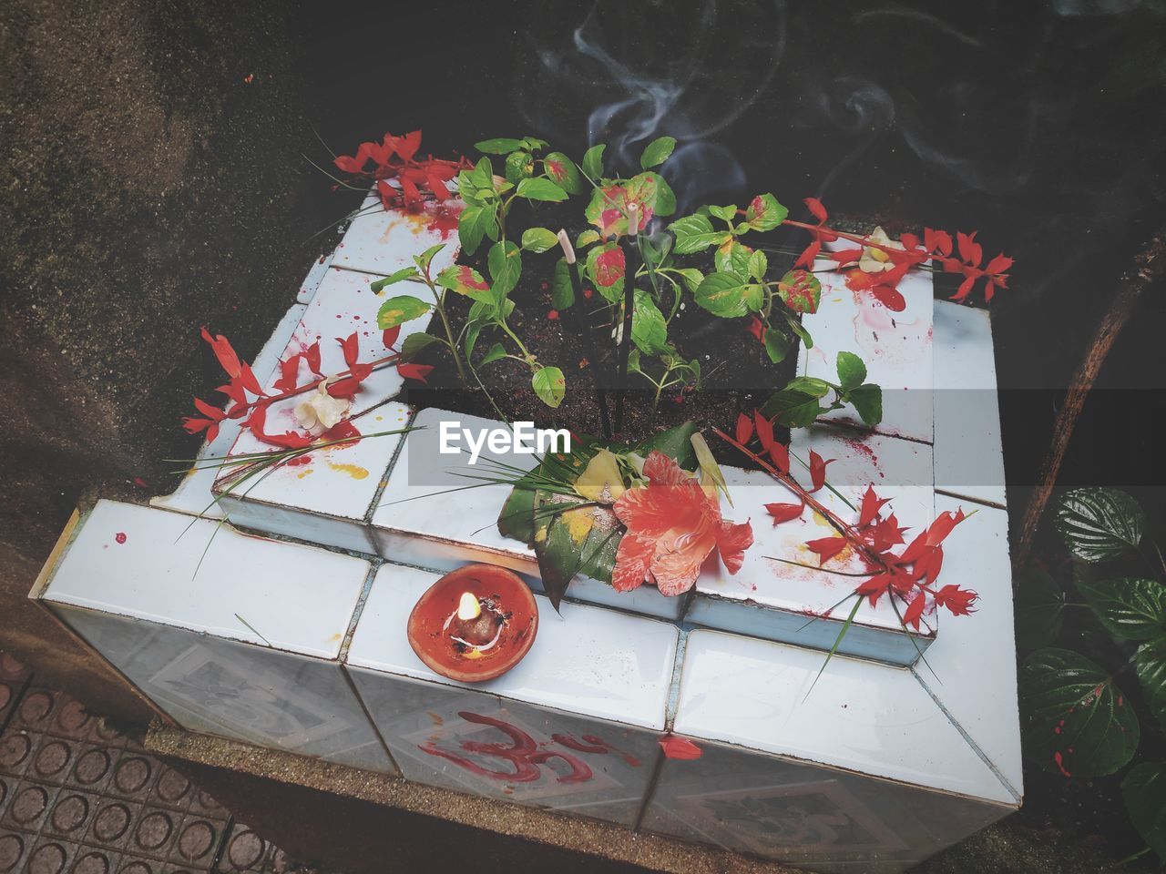 HIGH ANGLE VIEW OF RED FLOWERING PLANT ON TABLE AGAINST WALL