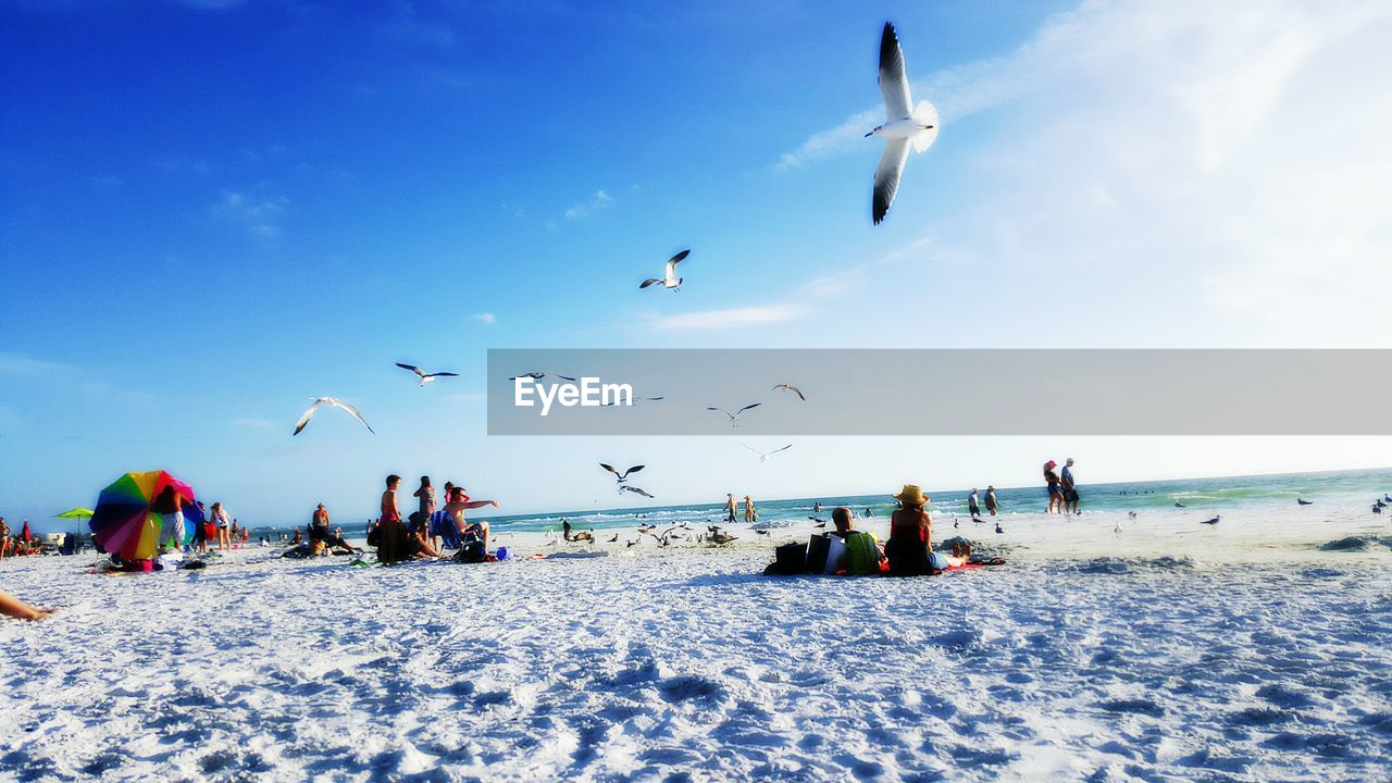 PEOPLE FLYING OVER SEA