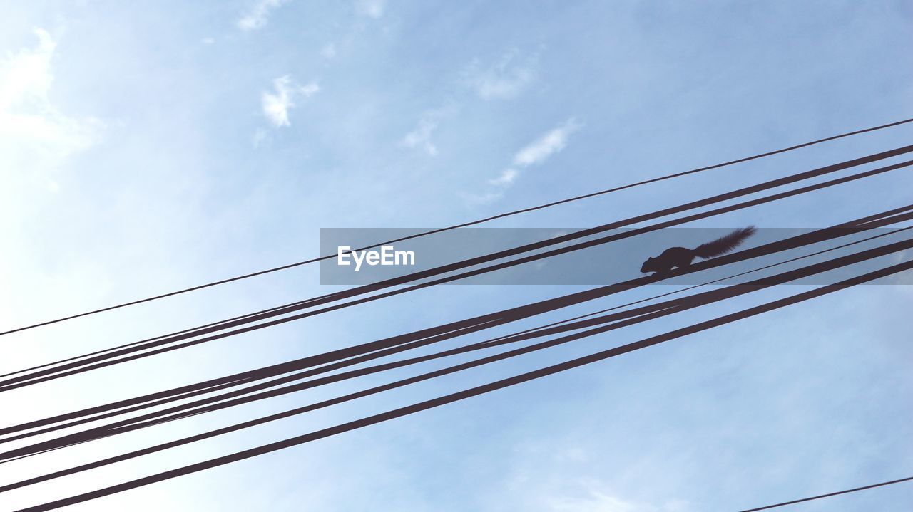 Low angle view of cables against sky