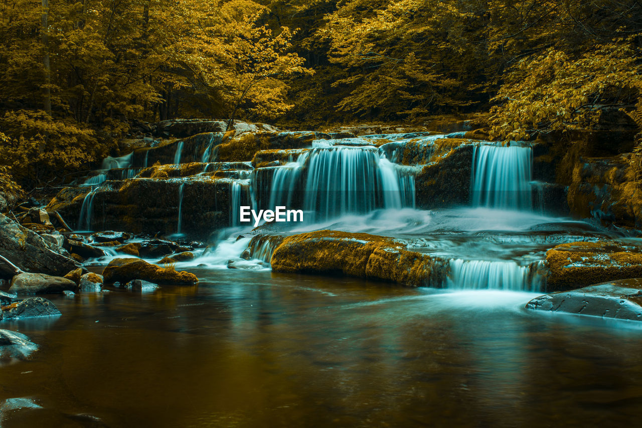 Scenic view of waterfall in forest