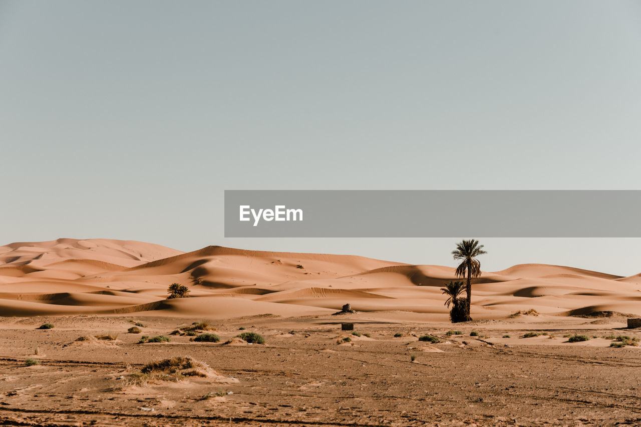 Great desert of sand dunes of the sahara