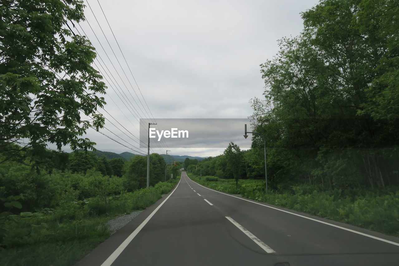 Road amidst trees against sky