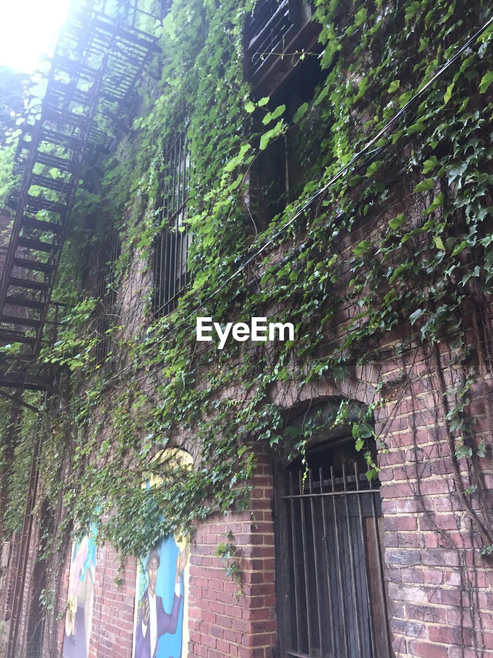 LOW ANGLE VIEW OF WINDOW ON BUILDING