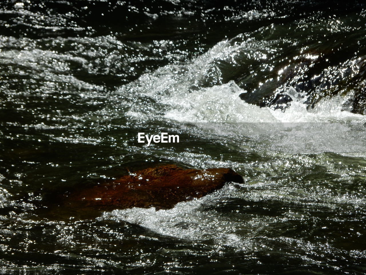 Close-up of rock in water