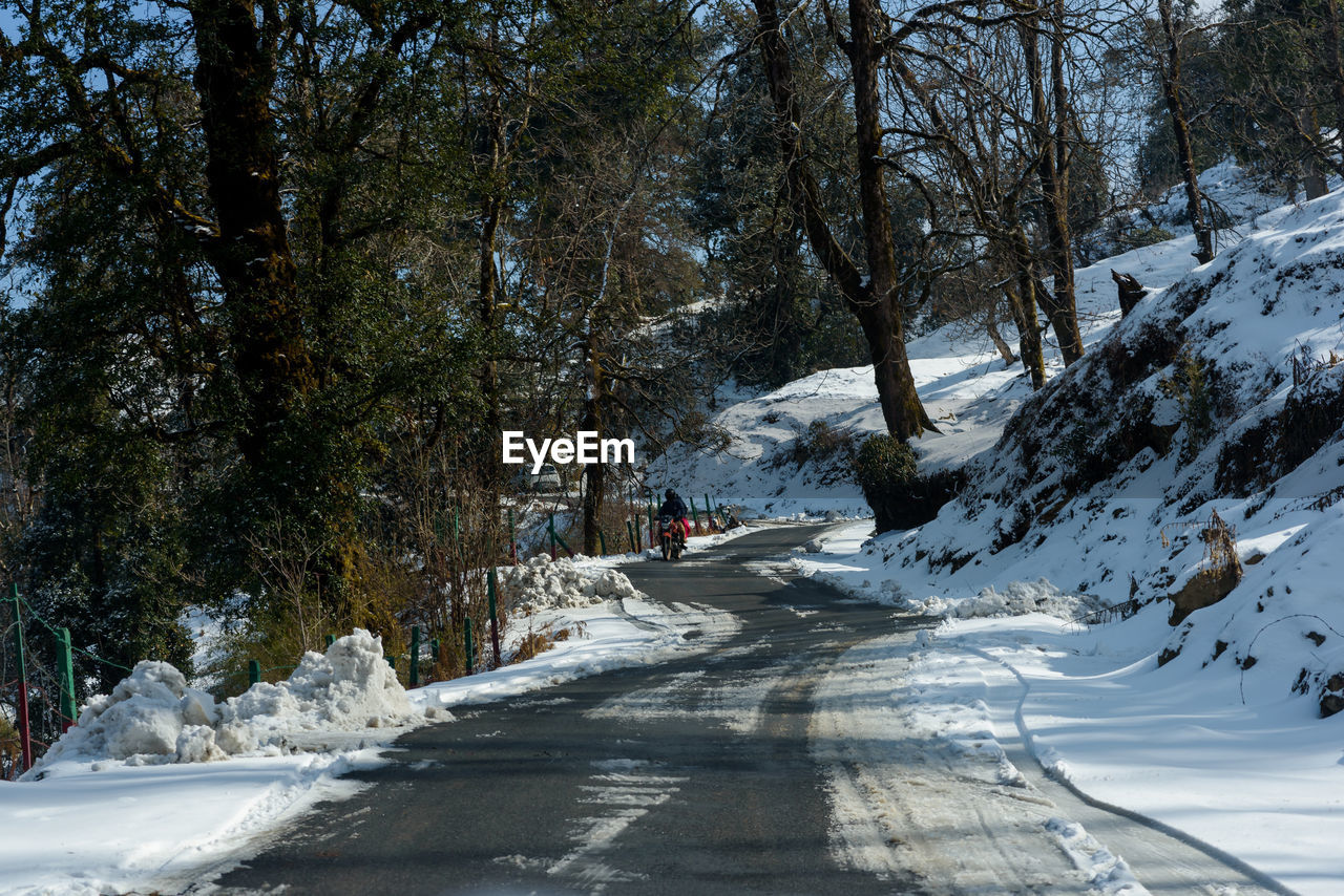 snow, tree, winter, cold temperature, plant, transportation, road, nature, beauty in nature, scenics - nature, the way forward, day, mountain, land, mode of transportation, environment, travel, non-urban scene, outdoors, forest, covering, white, sunlight, footwear, tranquility, landscape, tranquil scene, car, no people, motor vehicle, frozen, street, footpath