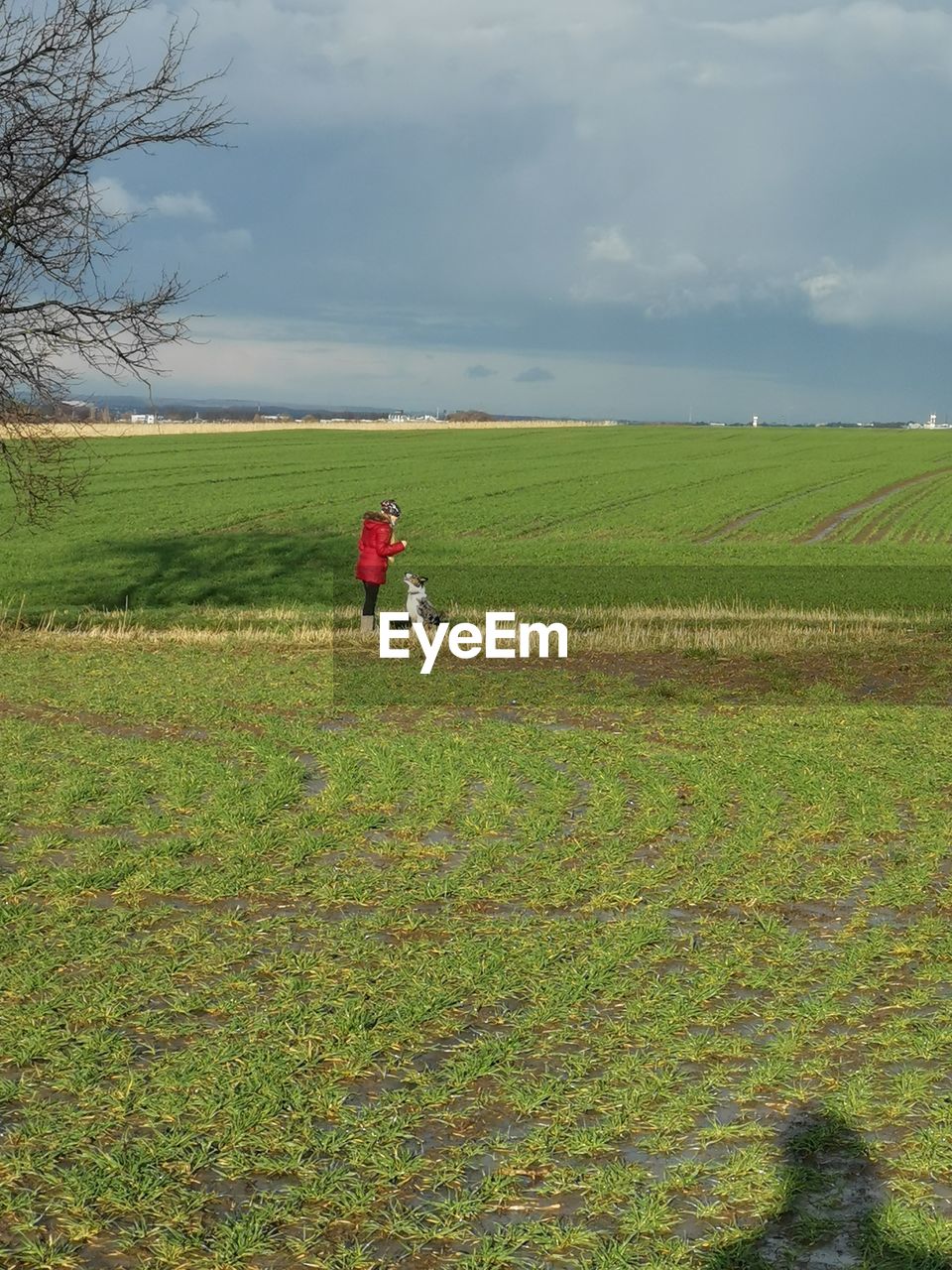 PERSON ON FIELD AGAINST SKY