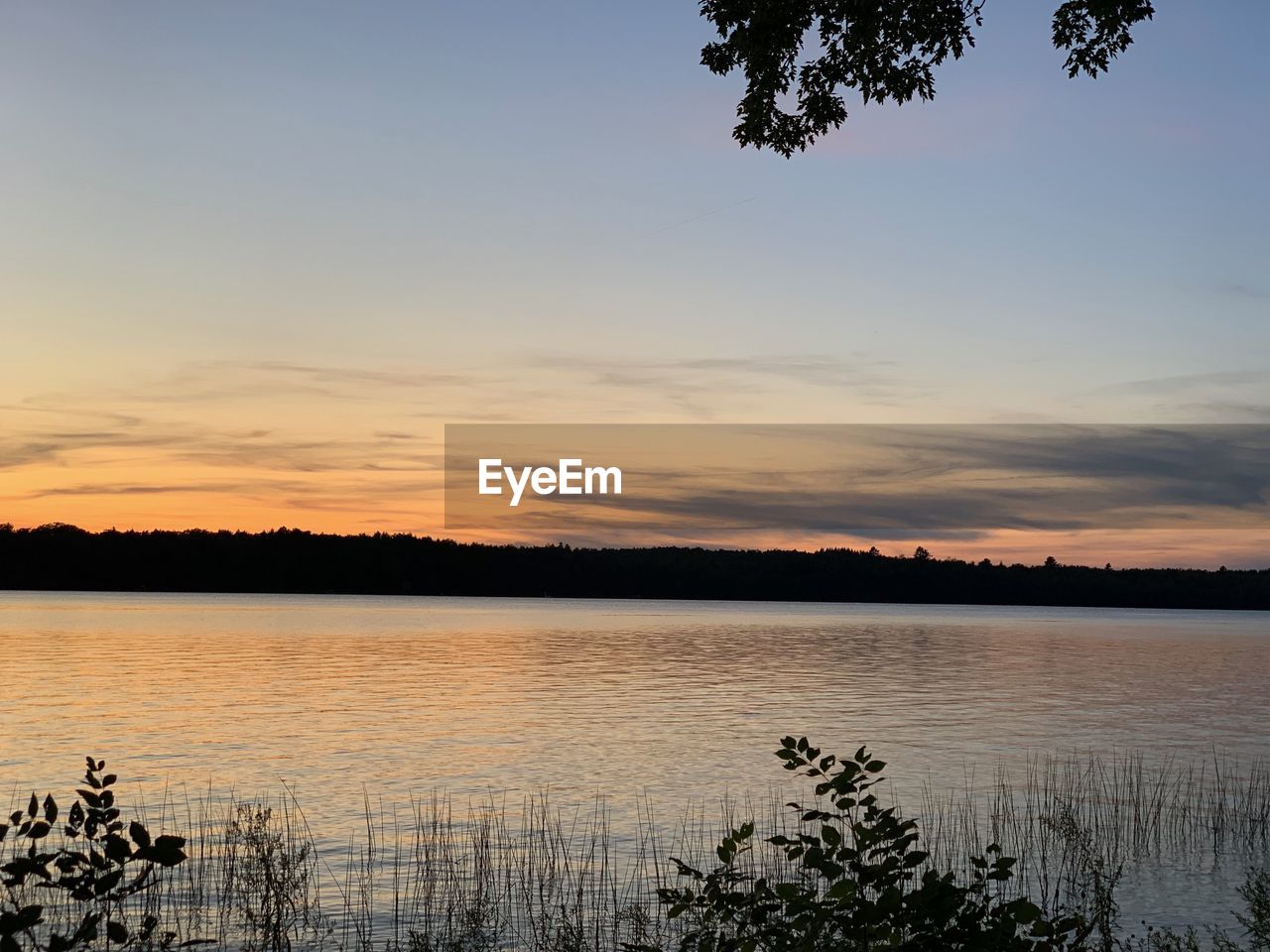 SCENIC VIEW OF LAKE BY SILHOUETTE TREES AGAINST SKY DURING SUNSET