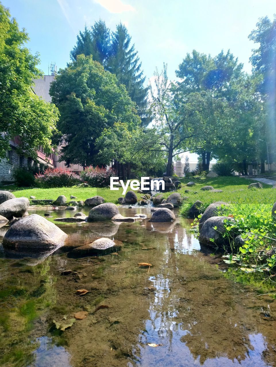 TREES AND ROCKS IN LAKE