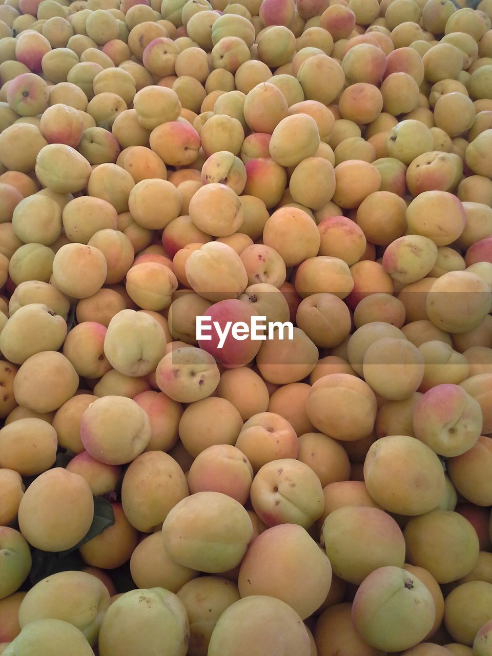 Full frame shot of fresh apricots