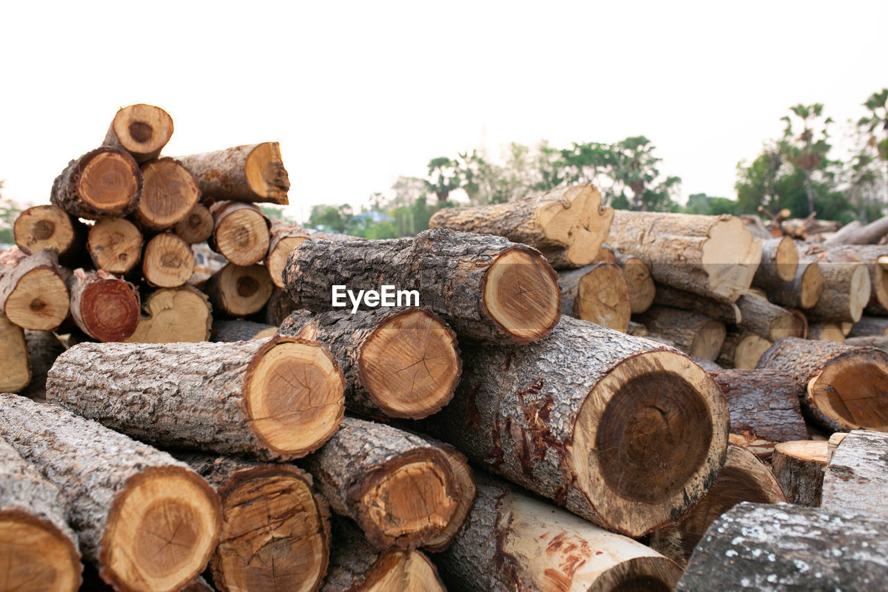 Wood arranged in layers, pile of wood logs ready for industry.