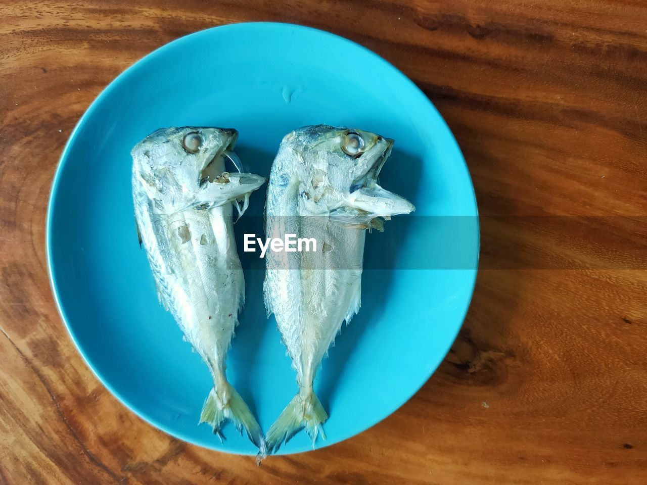 HIGH ANGLE VIEW OF FISH IN PLATE
