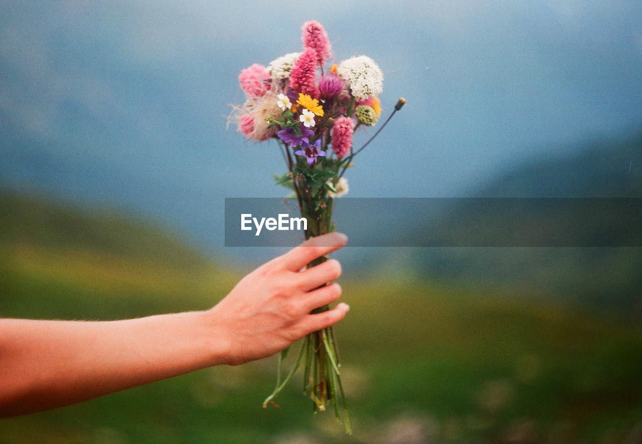 Cropped hand of person holding bouquet against sky