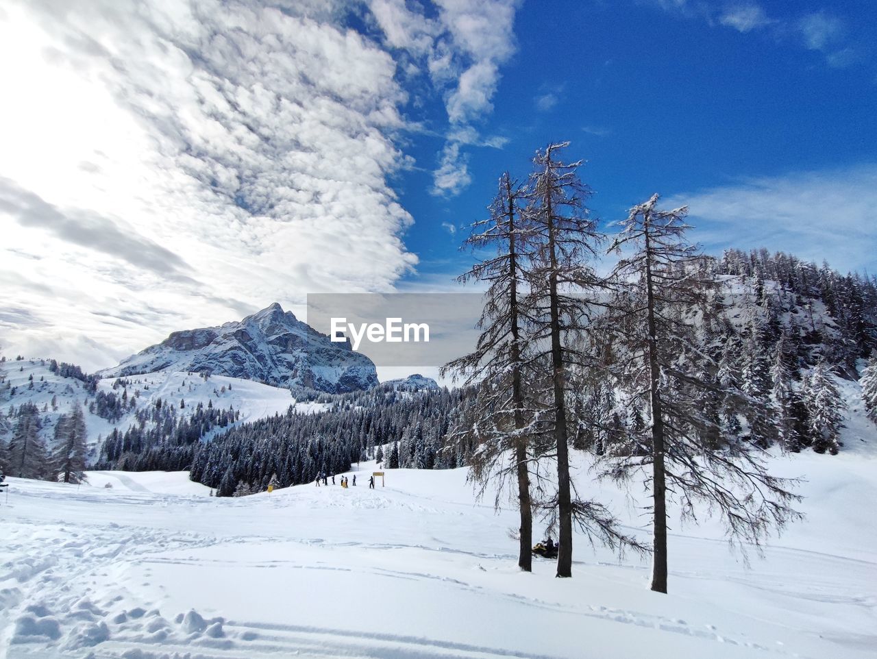 Trees on snow covered landscape against sky with mountains and clouds