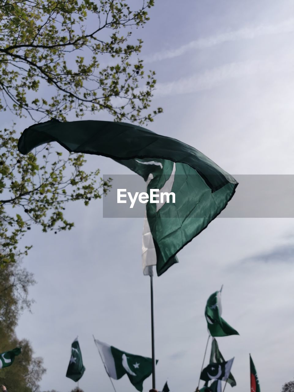 sky, flag, nature, environment, low angle view, cloud, patriotism, wind, tree, plant, flower, no people, green, day, outdoors, leaf