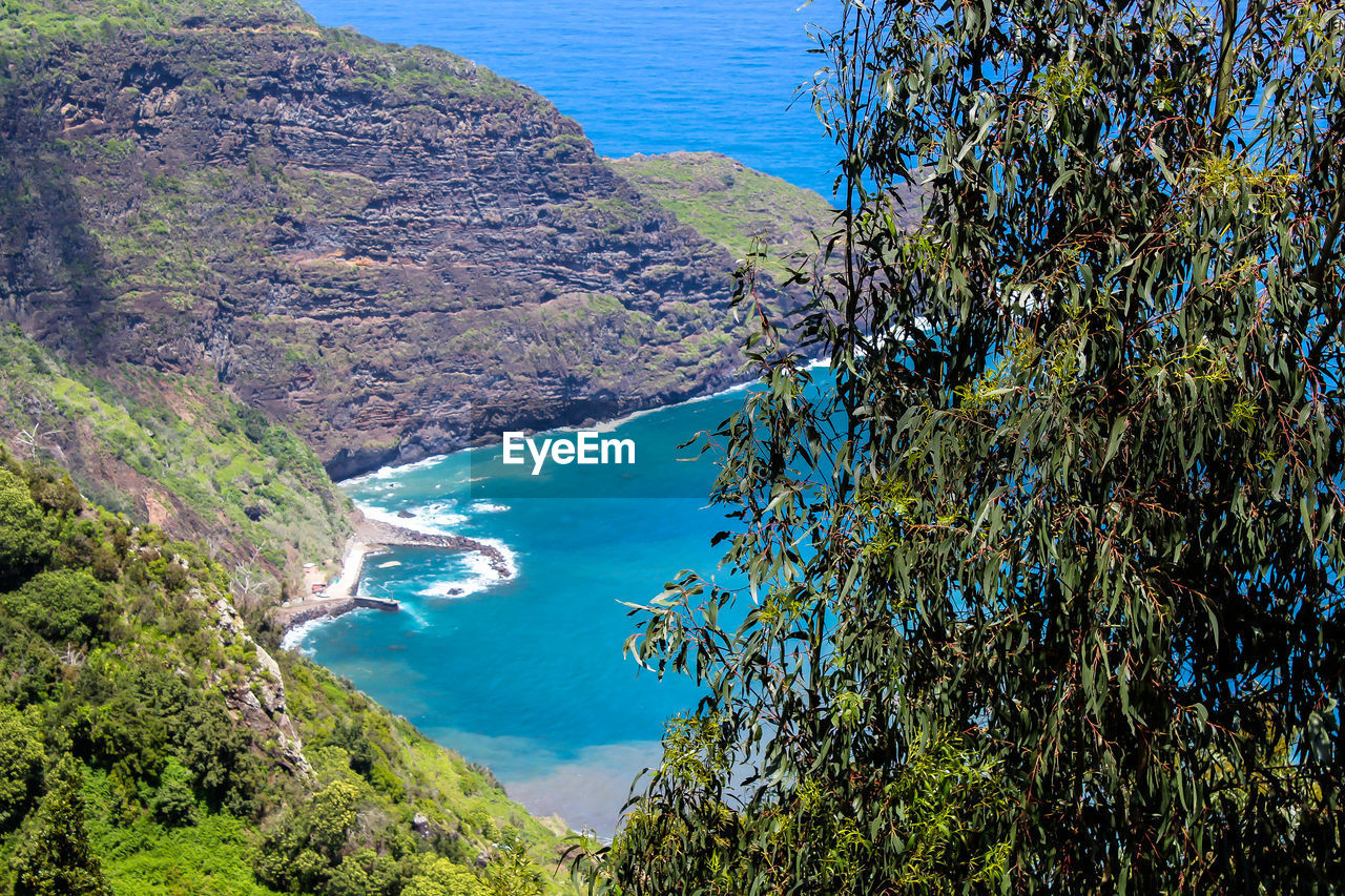 HIGH ANGLE VIEW OF SEA AND TREES ON SHORE