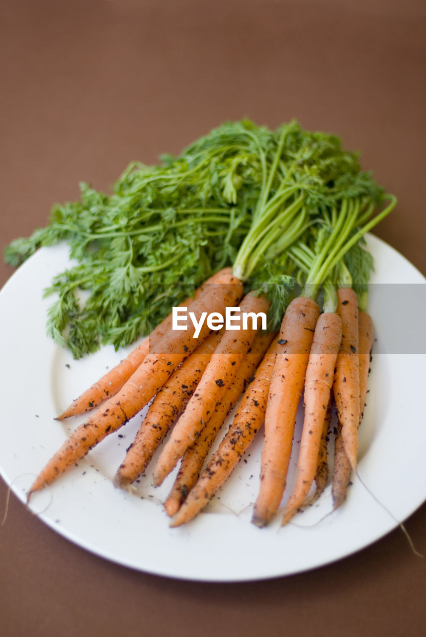 Bunch of fresh raw carrots with their leaves and adhering soil lying on a white plate