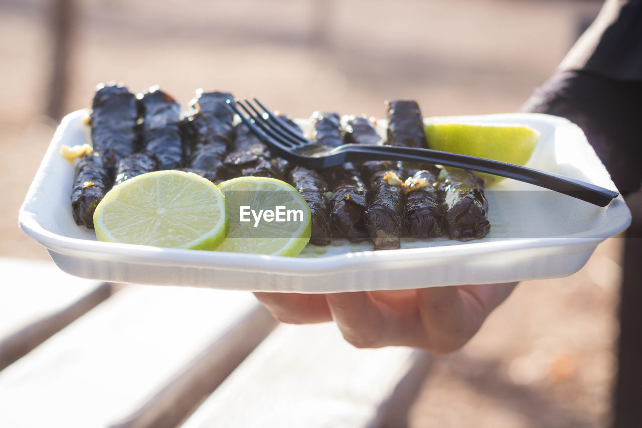 Cropped hand of person holding grape leaves