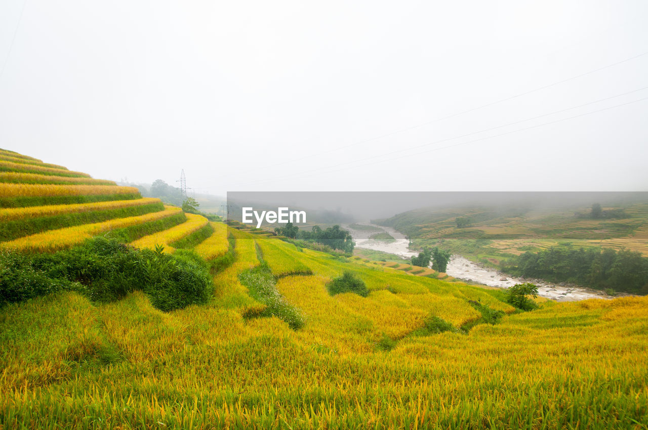 SCENIC VIEW OF GREEN FIELD AGAINST SKY