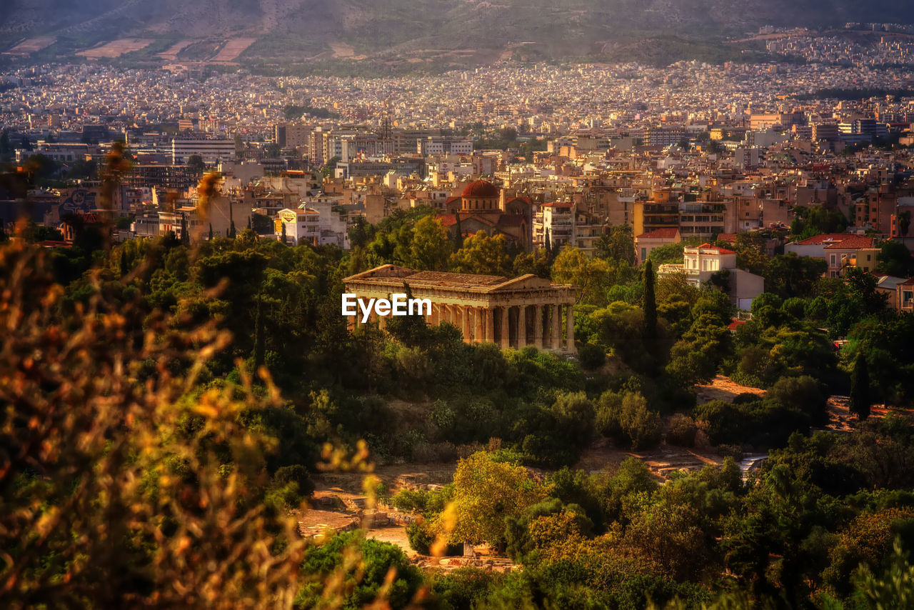 High angle view of trees and buildings in city