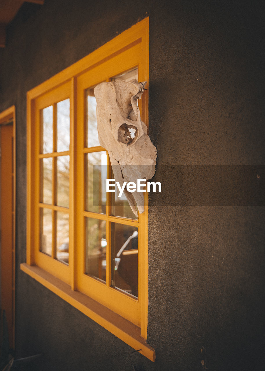 An animal skull is hanging on a yellow window of a house in a desert