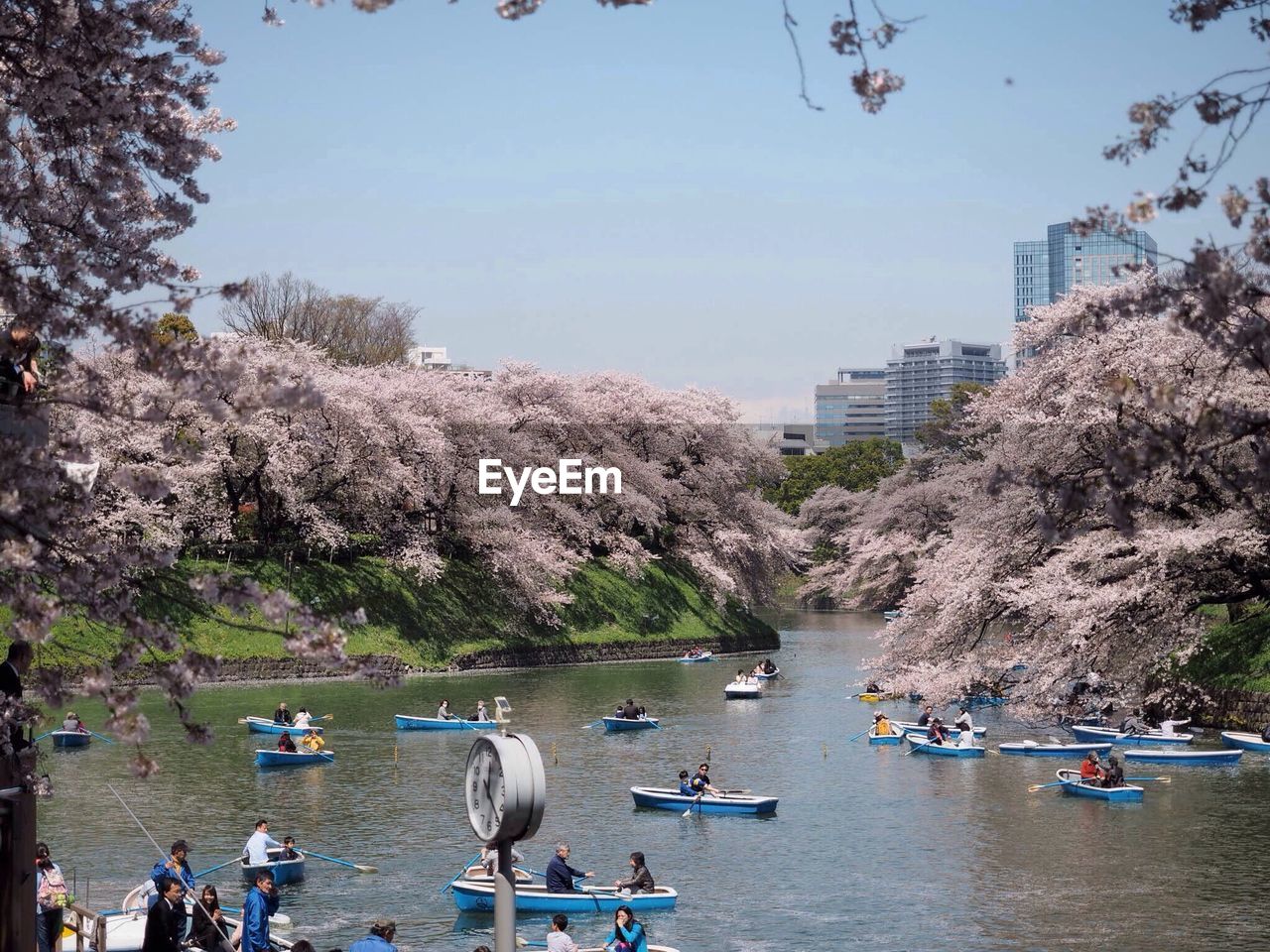 Scenic trees with boating in foreground