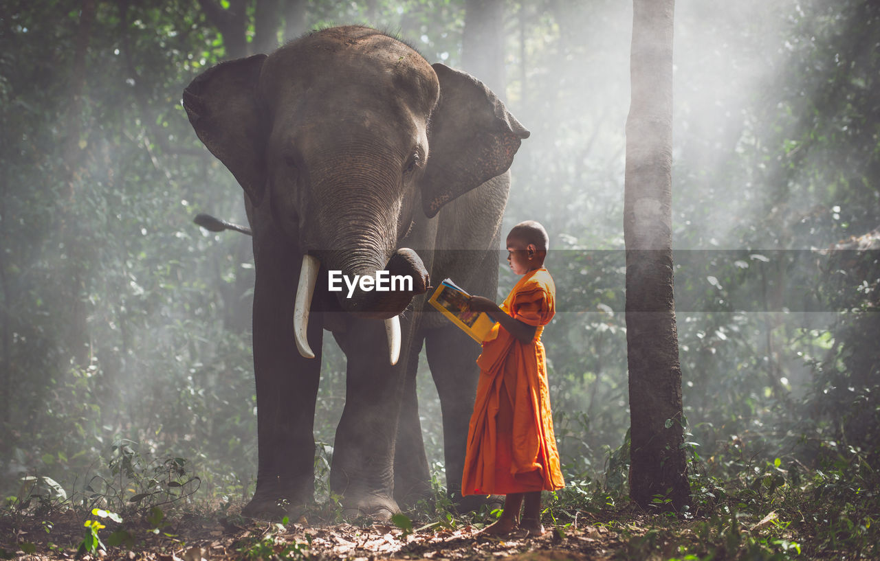 Full length of monk with elephant standing on land in forest