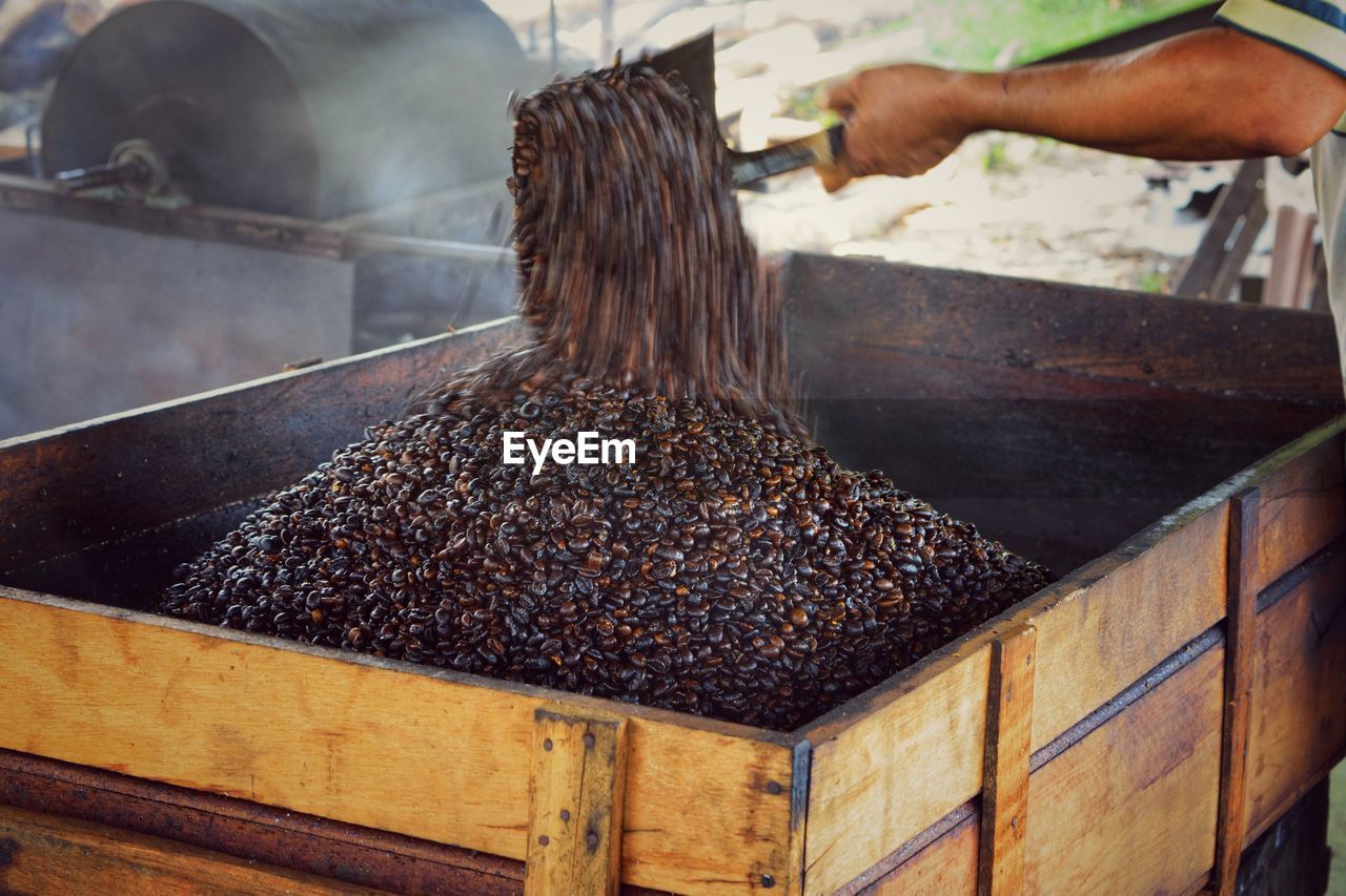 Cropped hand of man pouring coffee beans in container