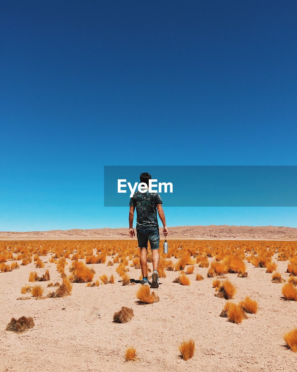 Rear view of man standing on arid landscape