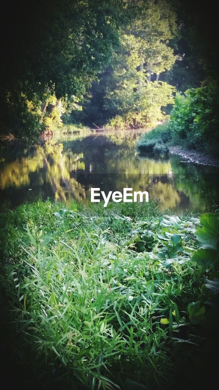 SCENIC VIEW OF CALM LAKE