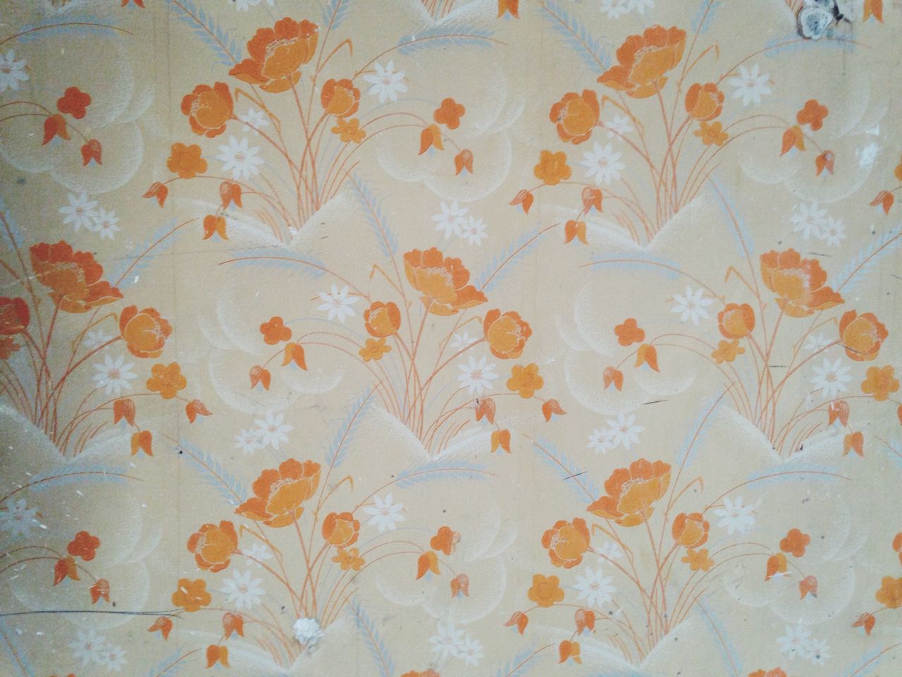 Close-up of old wallpapers with floral pattern