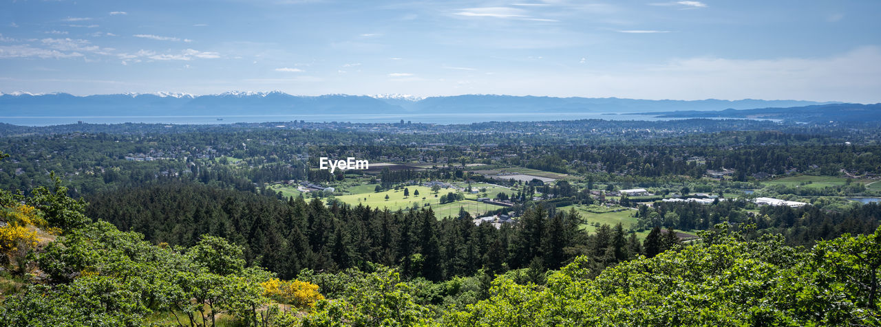 View on green valley with mountain in backdrop, shot on vancouver island, british columbia, canada