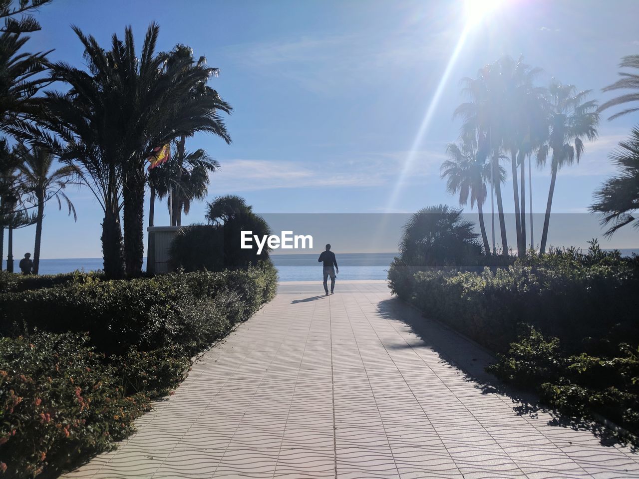 REAR VIEW OF WOMAN STANDING ON PALM TREES