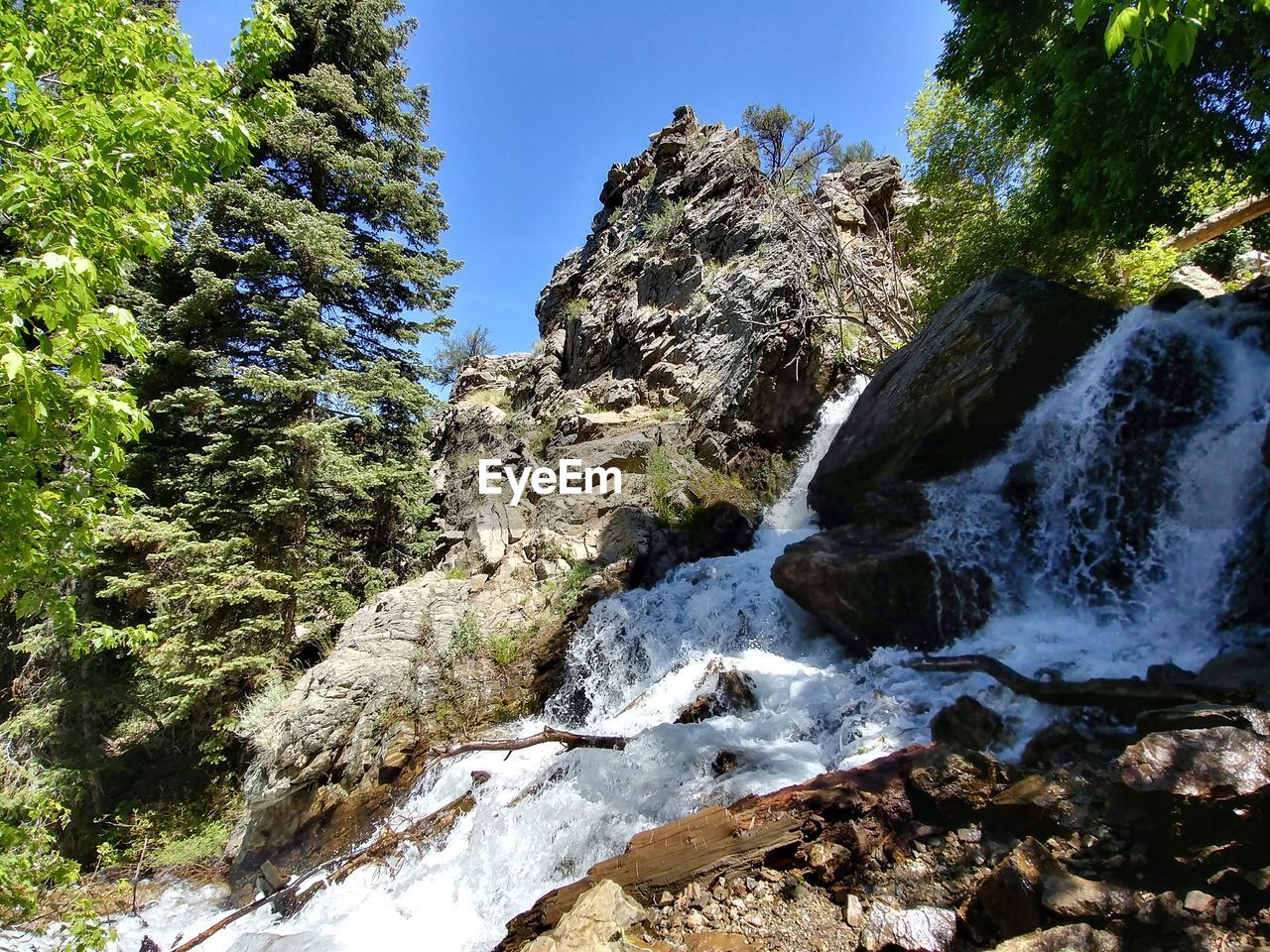 SCENIC VIEW OF WATERFALL IN FOREST