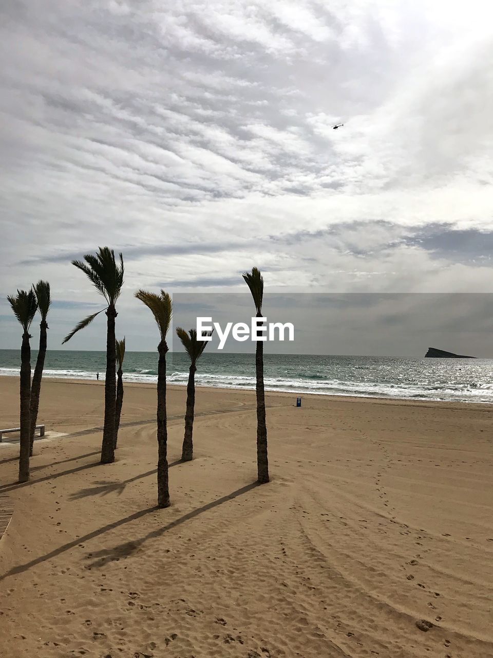 TREES ON SHORE AGAINST SKY