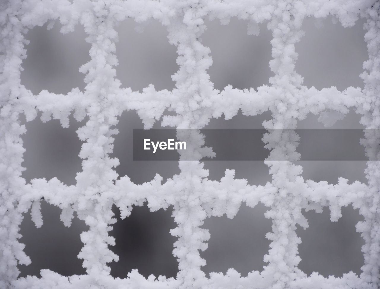 FULL FRAME SHOT OF WHITE FLOWERS ON SNOW