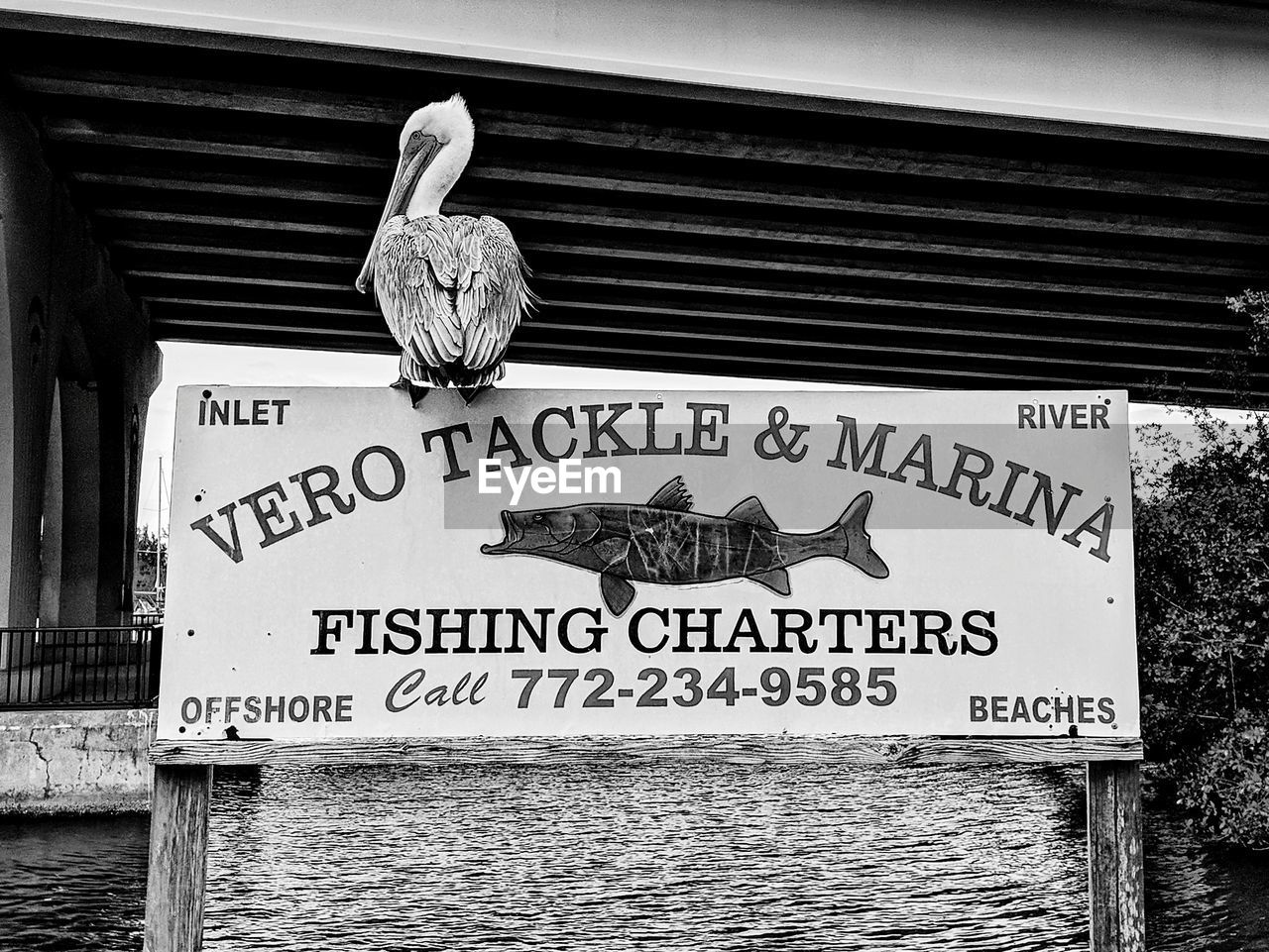 CLOSE-UP OF SIGNBOARD ON SEA