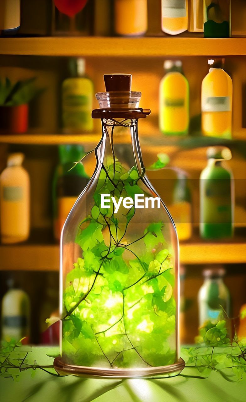 bottle, container, green, shelf, food and drink, medicine, healthcare and medicine, glass, no people, indoors, yellow, herbal medicine, plant, herb, food, nature, drink, jar