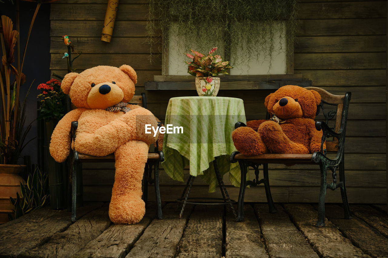 Stuffed toy on chair at home