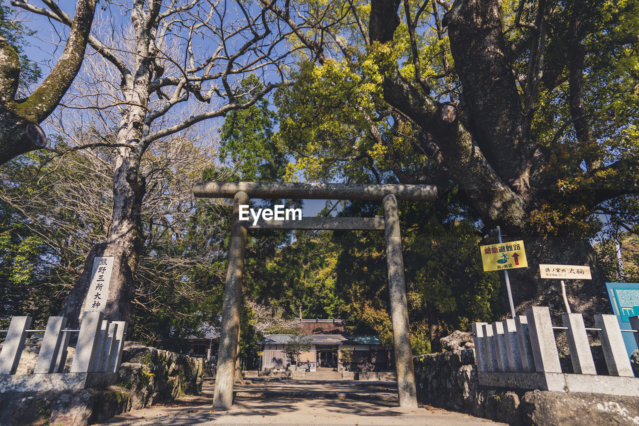 TREES IN A PARK