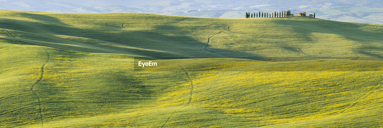 Italy, tuscany, pienza, panoramic view of green hills of val d'orcia in spring