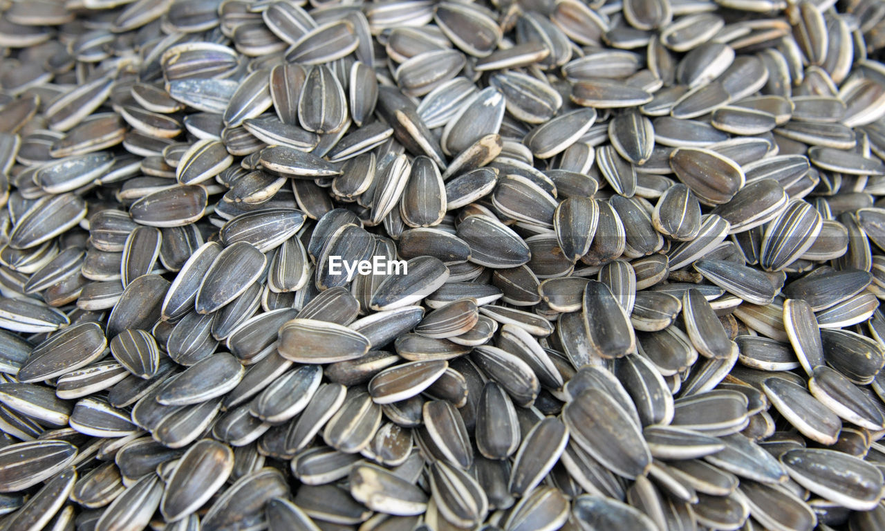 Sunflower seeds  exposed at the spice market in eminonu, istanbul
