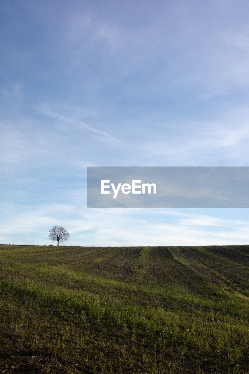 Scenic view of field against sky in valensole