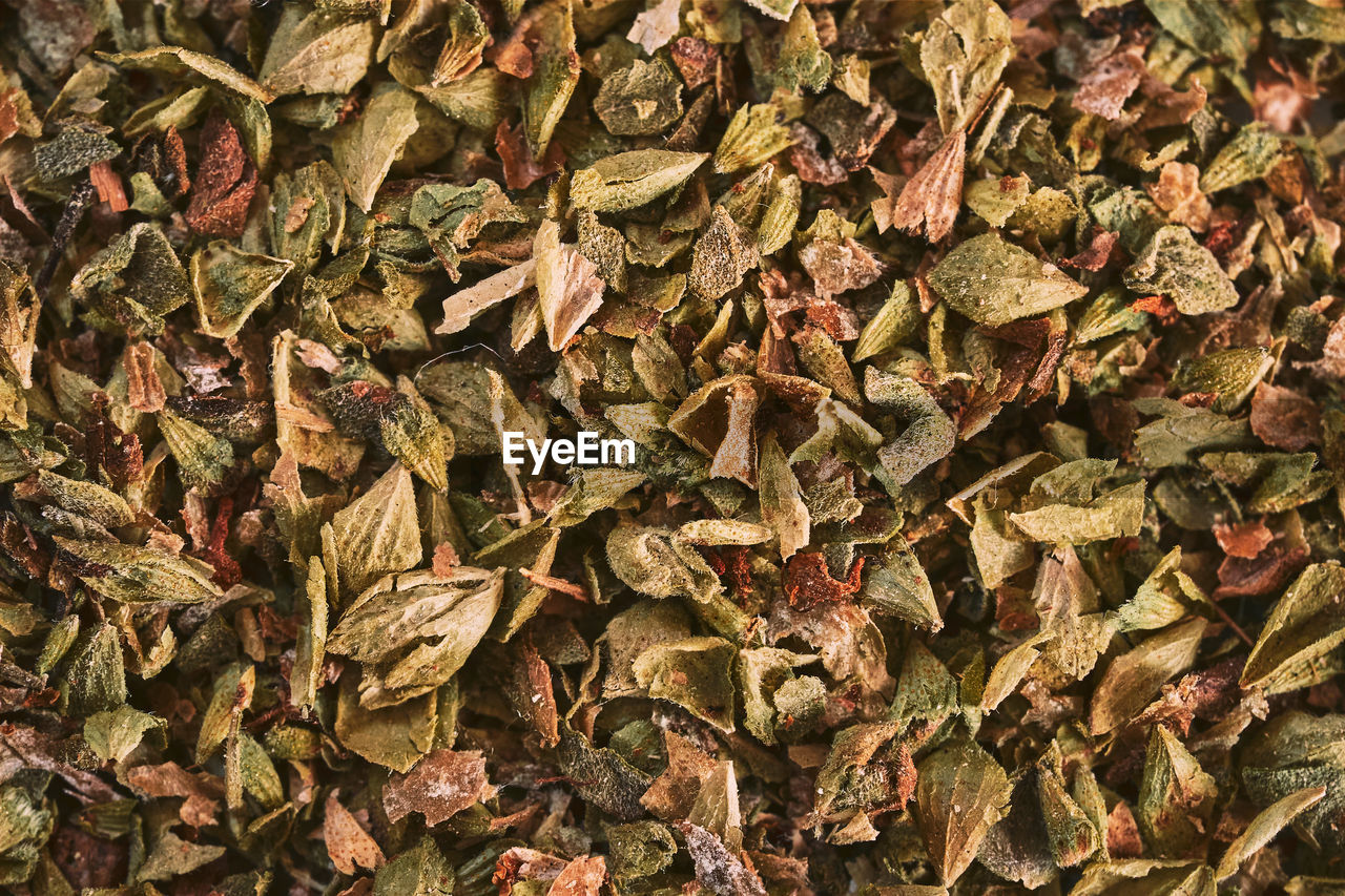 HIGH ANGLE VIEW OF DRIED LEAVES