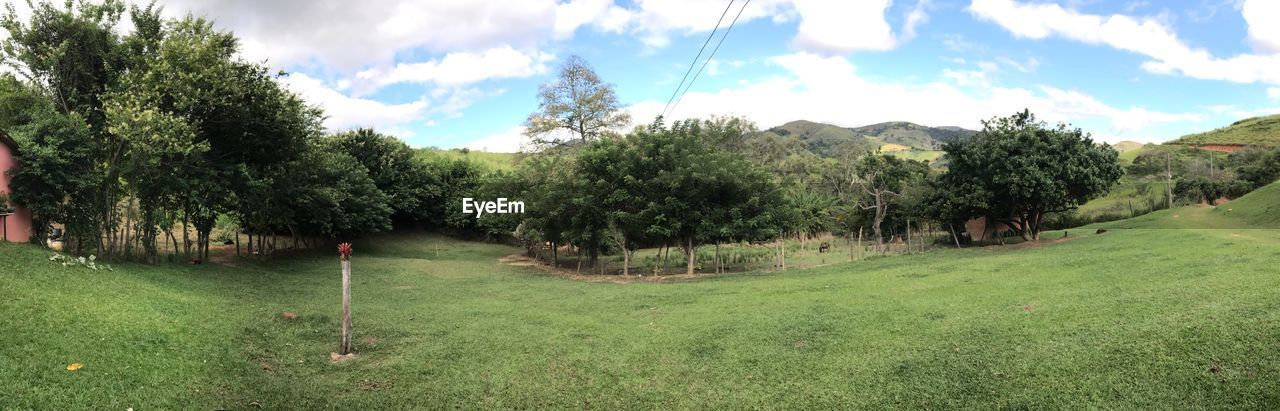 PANORAMIC VIEW OF GREEN LANDSCAPE AGAINST SKY