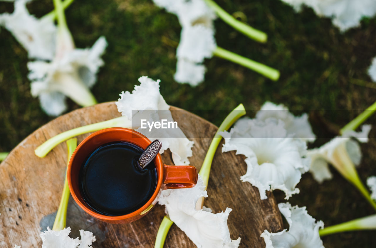 High angle view of coffee cup with white flower