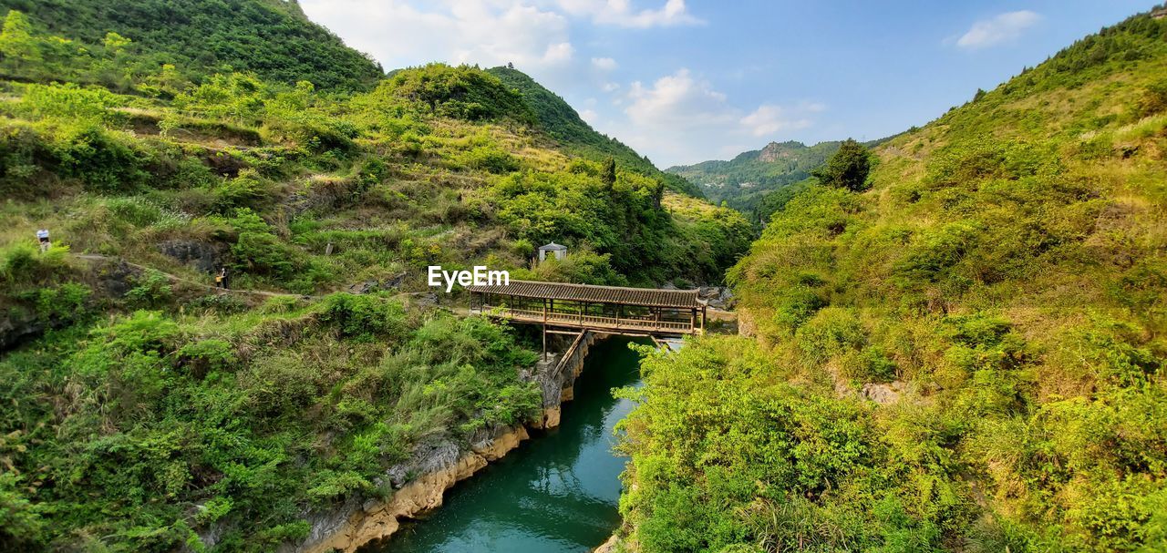 SCENIC VIEW OF BRIDGE OVER RIVER BY TREES