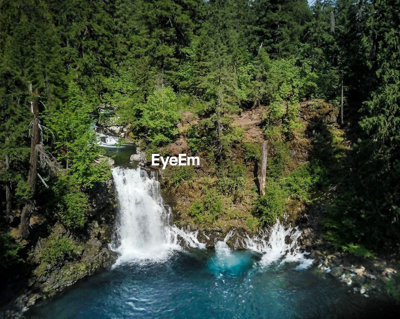 SCENIC VIEW OF WATERFALL AMIDST TREES