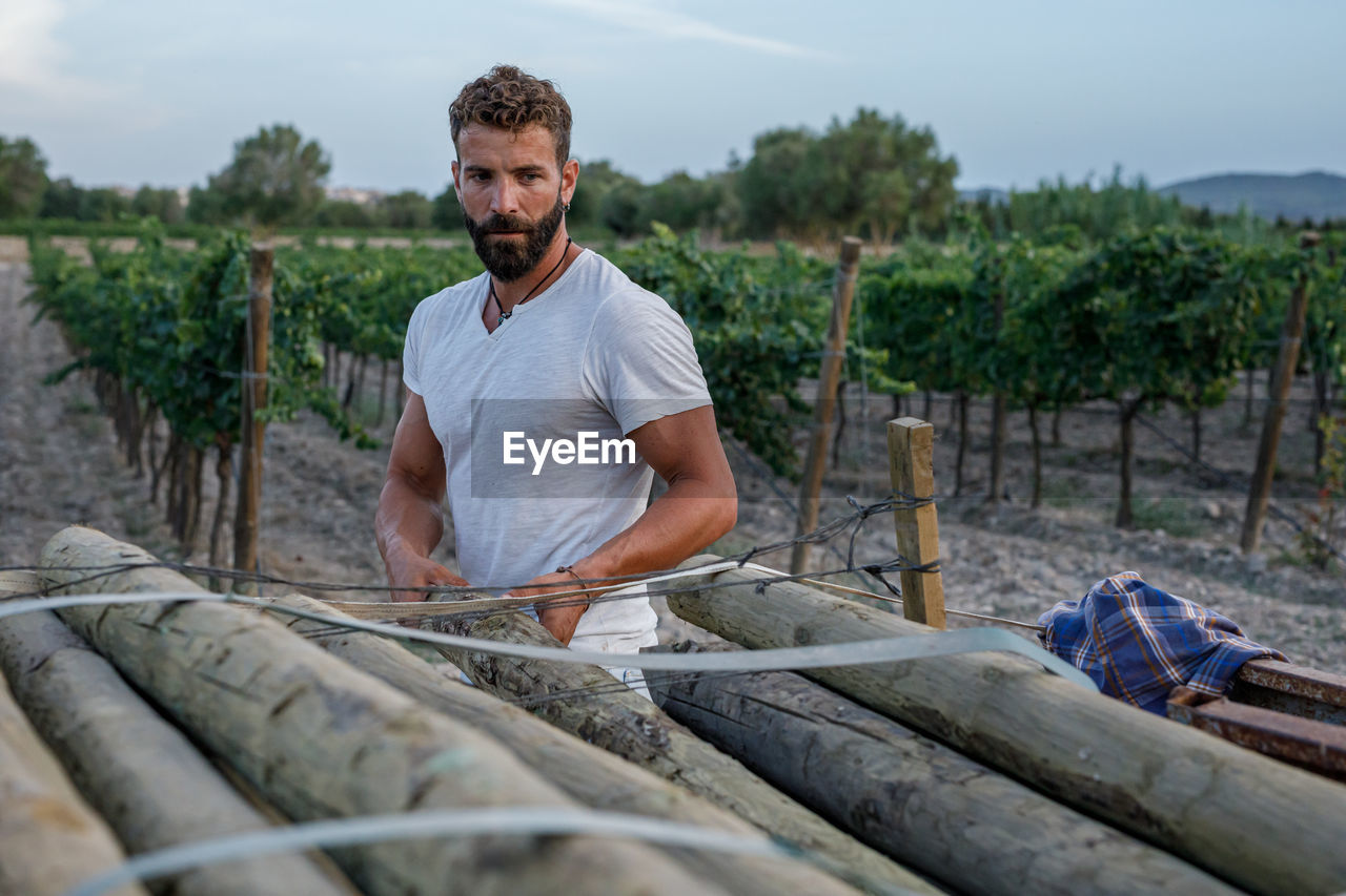 Bearded man in white t shirt putting heavy log into stack near grapevines during work on farm